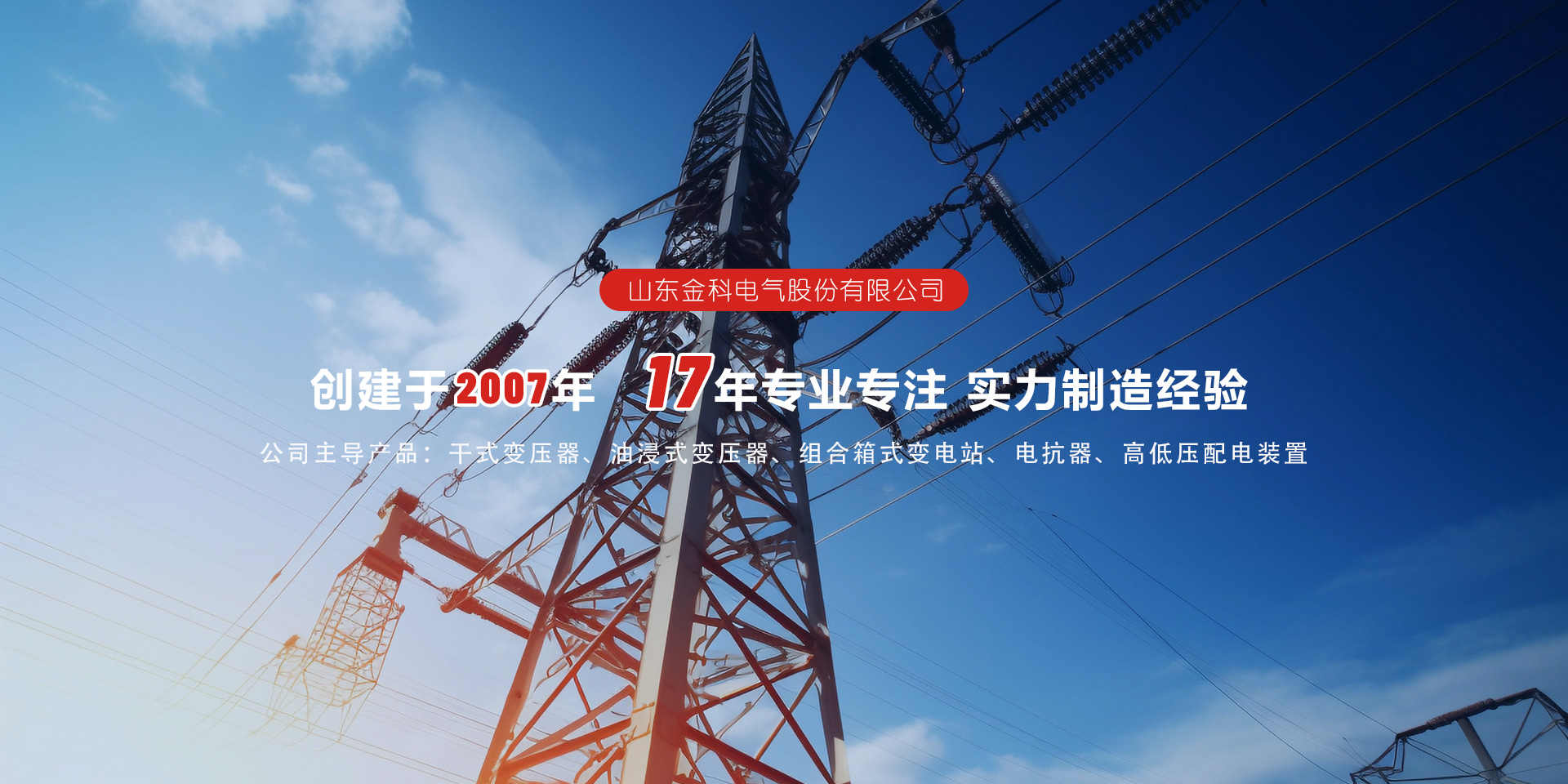 泰安市雙龍線路器材有限公司